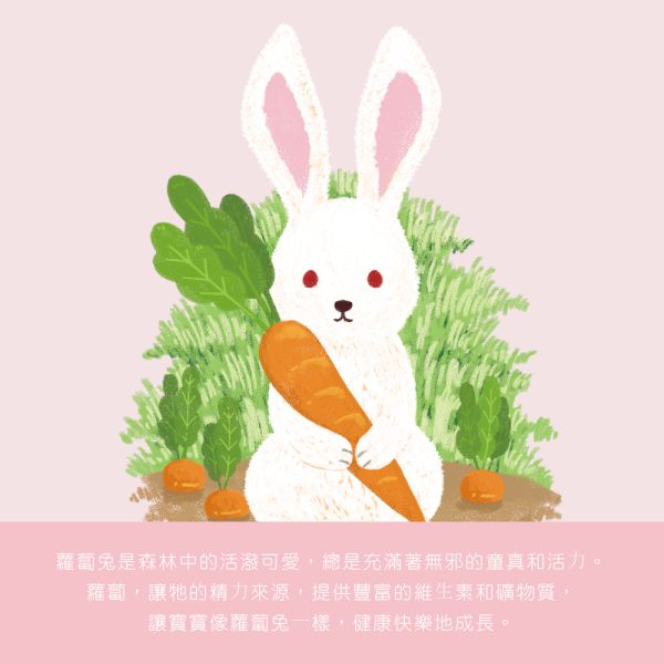 【米大師 Master Mi】有機寶寶蔬菜餅-蘿蔔兔